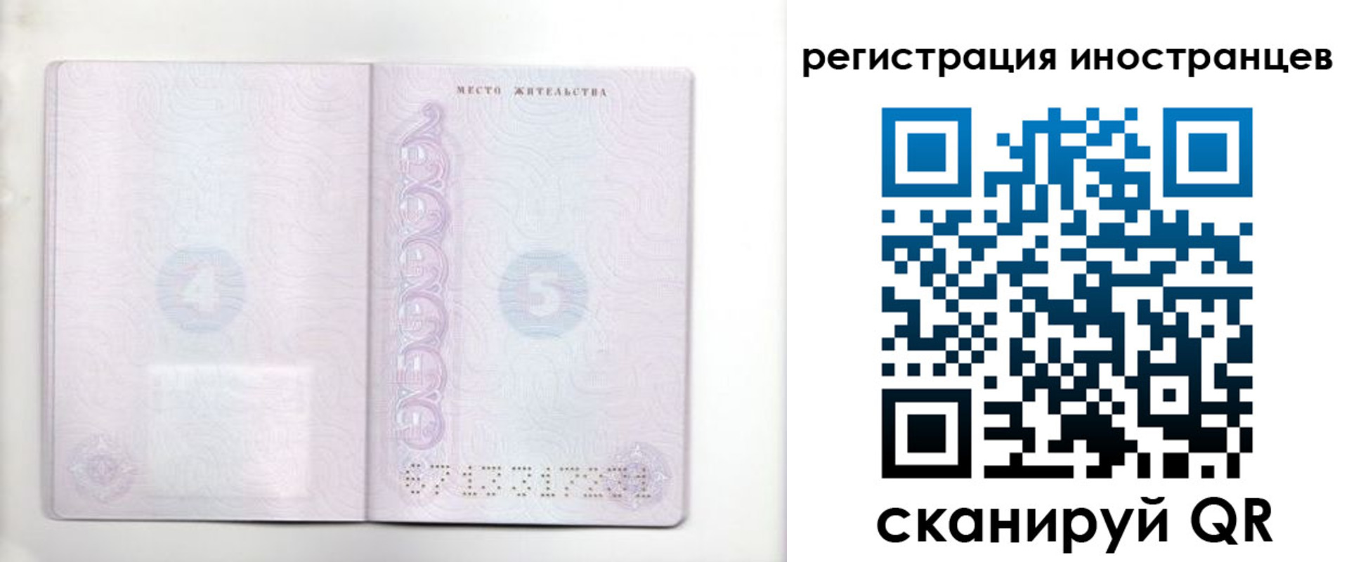 временная регистрация в Камышлове
